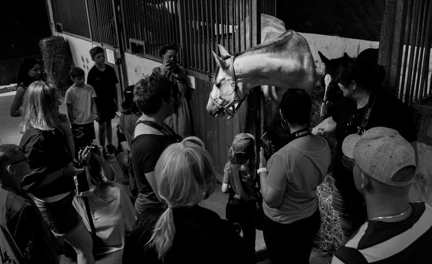 FOTORELACJA Z VIII RADZYŃSKICH DNI FOTOGRAFII